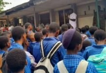 JSS3 student allegedly beats teacher to death over seized cap