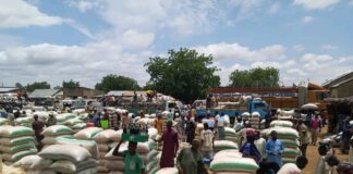 Grain prices drop significantly in Ngelzarma Market, Yobe State