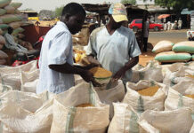 Food prices in Dambatta market, Kano Food prices in Dambatta market, Kano