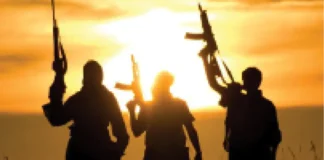 Bandits abduct 6 law students travelling to Adamawa, demand ₦120m ransom
