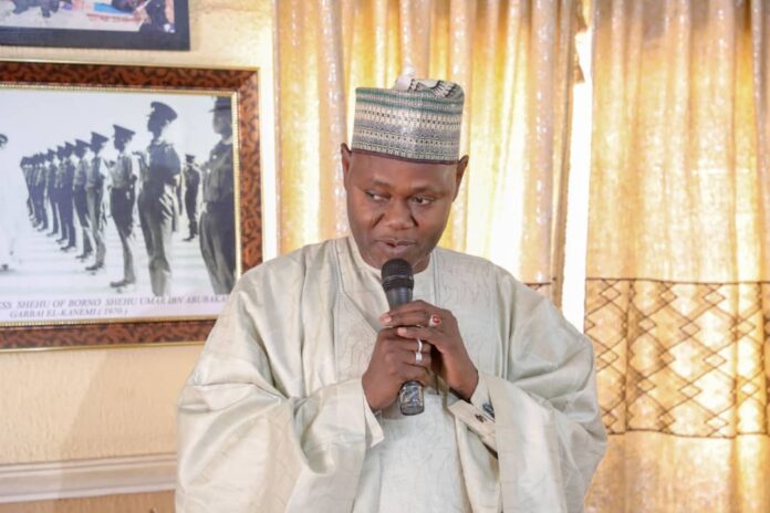 Borno govt uncovers dog slaughterhouse in Maiduguri (Video)