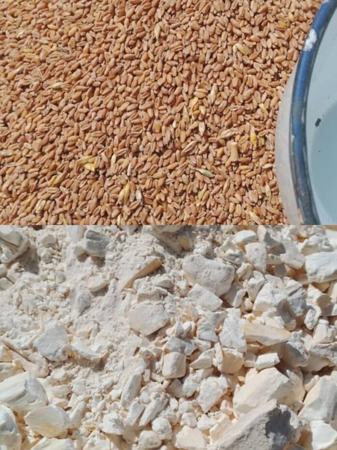 Food prices in Dambatta market, Kano