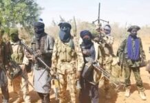 Boko Haram kidnaps Biu council officials in Borno Boko Haram abducts Borno LG secretary, Aide in broad daylight