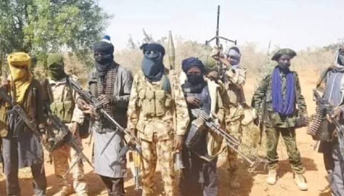 Boko Haram abducts Borno LG secretary, Aide in broad daylight Boko Haram abducts Borno LG secretary, Aide in broad daylight