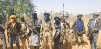 Terrorism spread to seven LGAs in Nasarawa, Kogi, as troops apprehend 13 terrorists