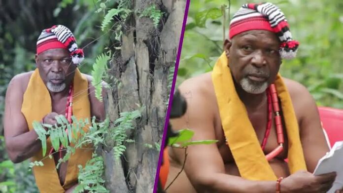 Veteran Nollywood actor Tom Njemanze dies after battle with cancer Veteran Nollywood actor Tom Njemanze dies after battle with cancer