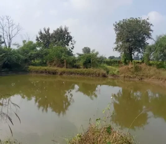 Tragedy in Kano: 17-year-old loses life in pond drowning incident