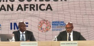 IMF urges Nigeria to review 2025 budget to prevent economic crisis