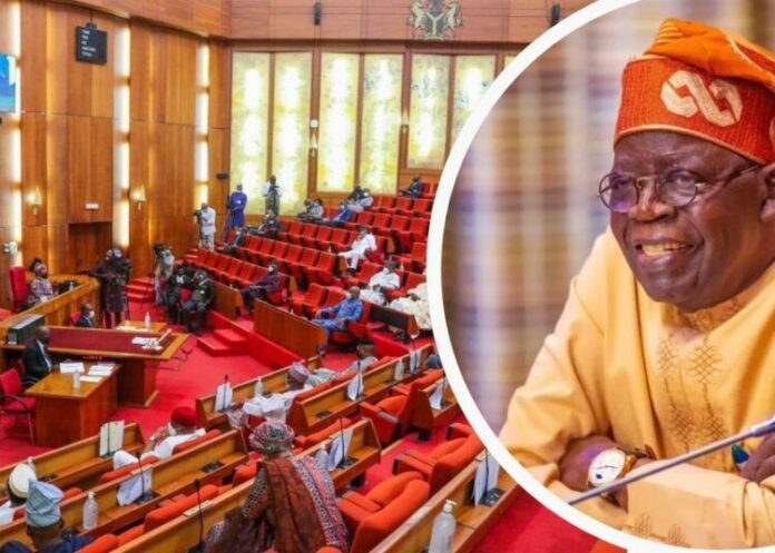 Tinubu's $21bn loan plan gets senate nod for 2025-2026 fiscal cycle Tinubu's $21bn loan plan gets senate nod for 2025-2026 fiscal cycle