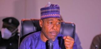 Zulum denies plans to dump APC, dismisses report of defection