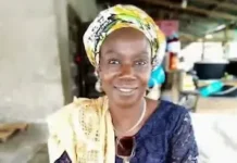 Councillor dies days after taking office