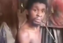 Mystery Unravels: ‘Japa’ man found in chains after 5 years in Anambra (Video) Mystery Unravels: ‘Japa’ man found in chains after 5 years in Anambra (Video)