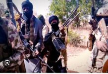 Gunmen abduct six family members in fresh Adamawa attack Bandits storm Sokoto Mosque during prayers, kill 1, kidnap many