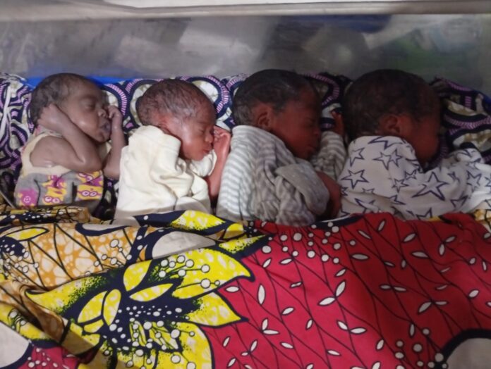 Yobe couple seeks financial assistance following birth of quadruplets
