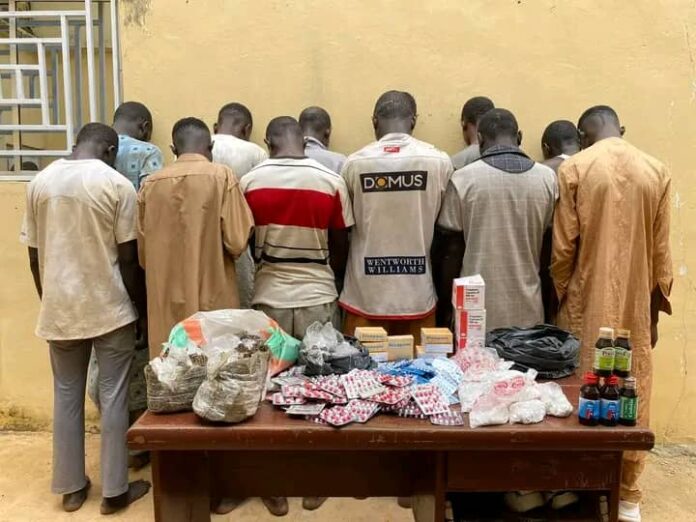 49 suspects arrested as NDLEA steps up drug enforcement in Kano 49 suspects arrested as NDLEA steps up drug enforcement in Kano