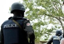 Police arrest 23-year-old man for macheting 44-year-old girlfriend to death Police arrest 23-year-old man for macheting 44-year-old girlfriend to death