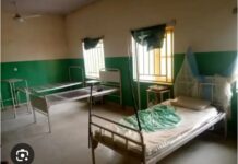 4 siblings die from suspected diphtheria 4 siblings die from suspected diphtheria