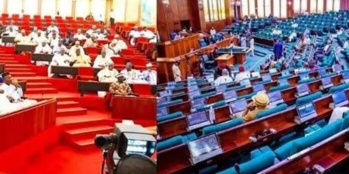 "Nigerian lawmakers pay up to ₦3m bribe to present motions, bills" - Jigawa Reps Member (Video)