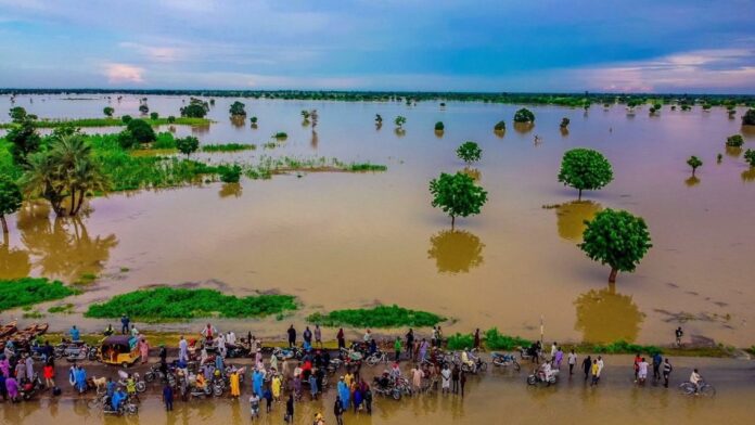 2025 Flood: 165 dead, 82 missing, 119,791 affected in 19 States – NEMA