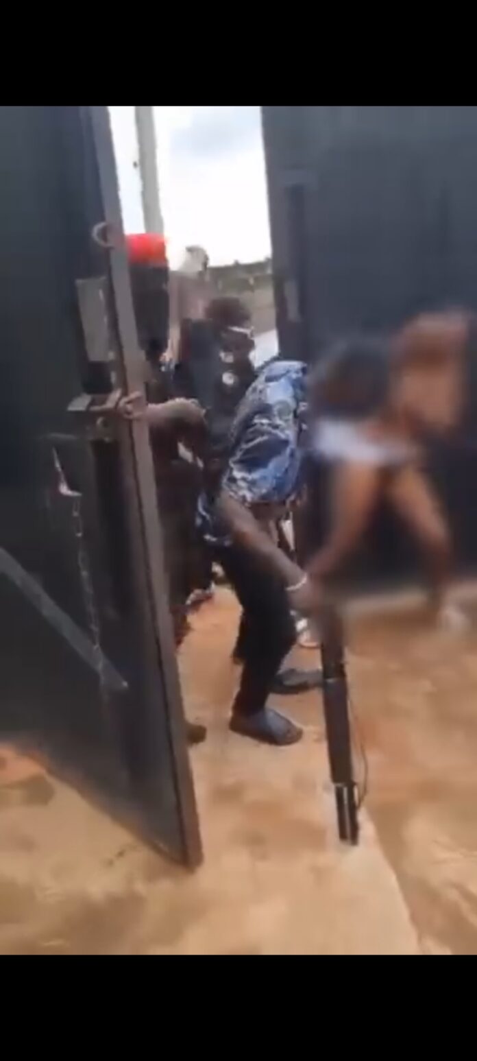 Security agents brutally assault, strip young lady (Video)