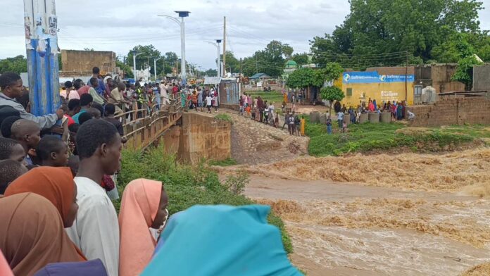 Heavy rainfall destroys several homes in Yobe (Pictures) Heavy rainfall destroys several homes in Yobe (Pictures)