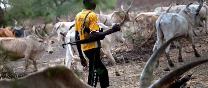 Armed herdsmen killed 2 in fresh Benue attack Armed herdsmen killed 2 in fresh Benue attack
