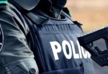 Casual worker arrested over colleague’s death at Gombe govt house Police arrest man with arms, fake police ID in Katsina