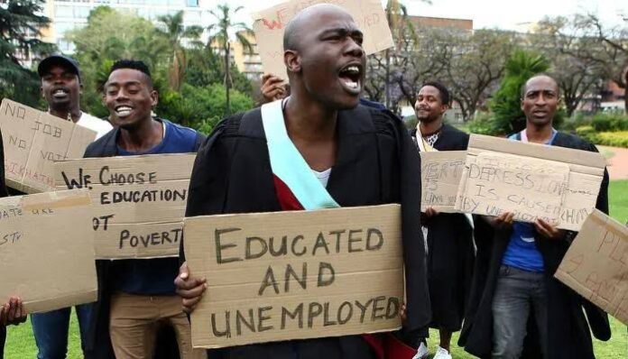Report flags rising youth unemployment, insecurity, declining trust in governance