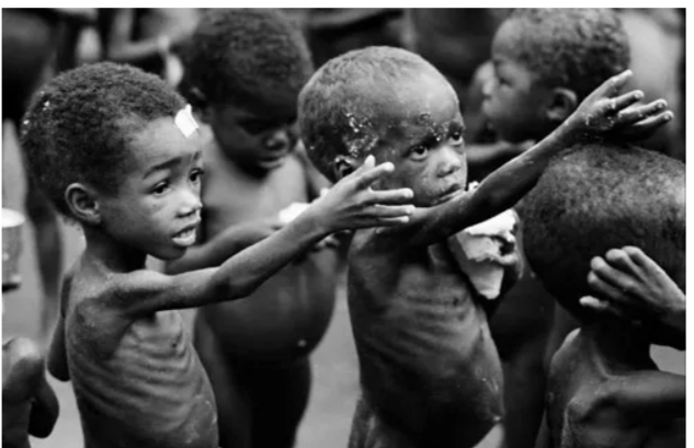 Global aid cuts threaten Nigeria, other nations with food shortages - SCI Global aid cuts threaten Nigeria, other nations with food shortages - SCI
