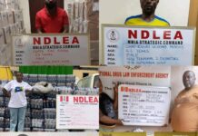 NDLEA intercepts ₦3.9bn tramadol shipment, arrests Indian businessman, accomplices NDLEA intercepts ₦3.9bn tramadol shipment, arrests Indian businessman, accomplices