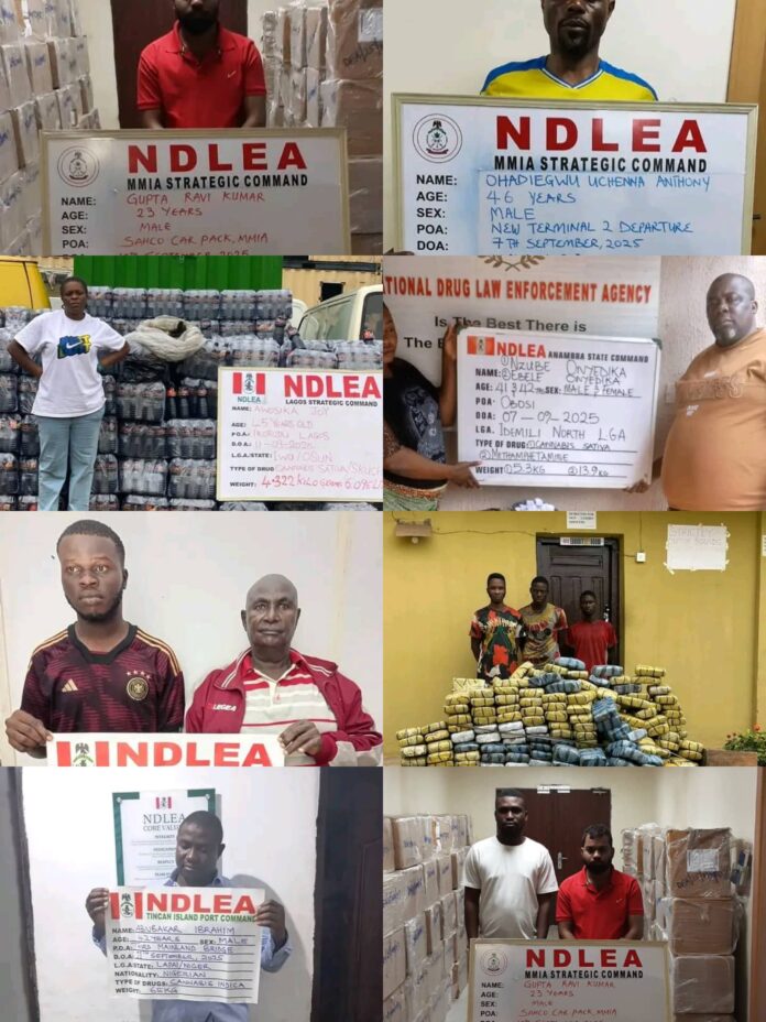 NDLEA intercepts ₦3.9bn tramadol shipment, arrests Indian businessman, accomplices