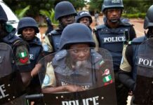 Police arrest 21-year-old mother of 2 for stabbing partner to death Police arrest 21-year-old mother of 2 for stabbing partner to death