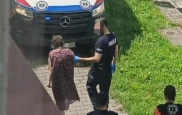 20251017160201_-1270222190_5049848506535005564_585_369_85_webp