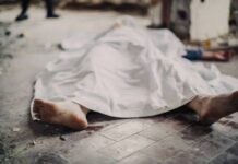 Man killed during fight over girlfriend in Yobe Man killed during fight over girlfriend in Yobe