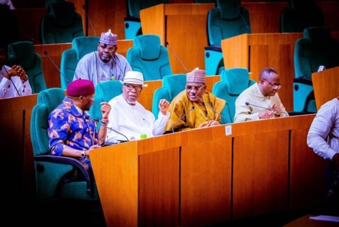 House of Reps blast US bill by alleging States Christians genocide