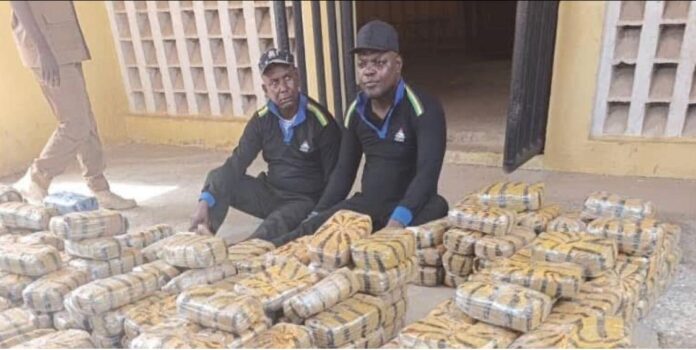 Soldiers arrests two fake police officers with over 1,100 blocks of cannabis in Taraba