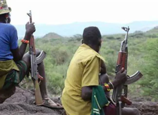 Bandits launch deadly ambush, kill 2 security personnel in Benue Bandits abduct councillors, imam in Zamfara — LG chairman confirms