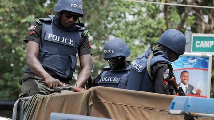 Kaduna Police bust drug, child trafficking, arms rings