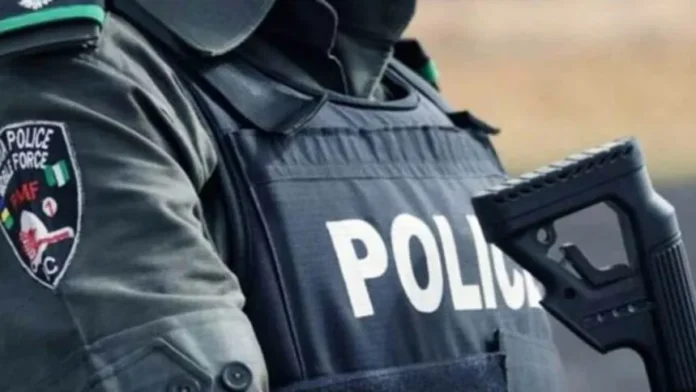 Police arrest 2 brothers for robbery in Ondo Swift Police Action Foils Bandit Raid on Abuja Communities