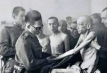 The day Auschwitz fell silent and the darkest scar in human history