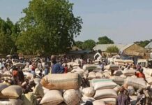 Grain prices drop across markets in Nangere, Yobe State