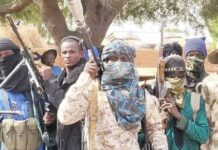 Bandits abduct 25 in fresh attack on Kano border communities Bandits kill elderly woman, abduct three in Kano village attack