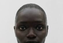 From Punk to Prestige: The choker’s rise as a luxury fashion classic, by Susan Mbamah