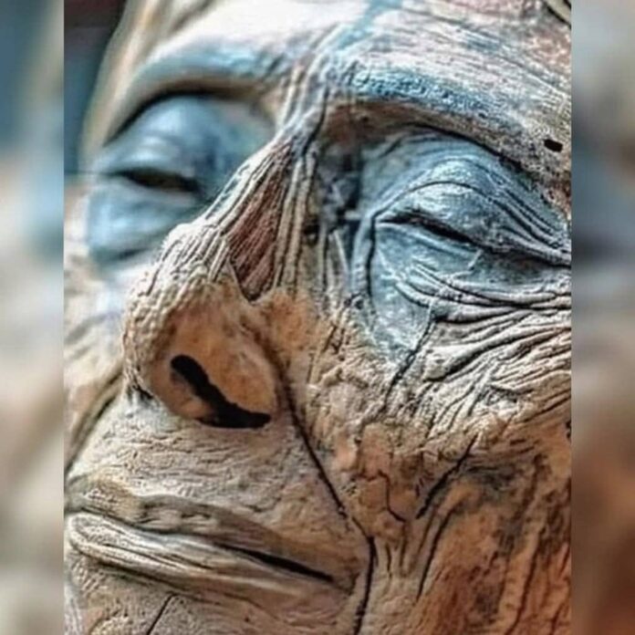 6f7986dc-0d23-4ae4-a874-7aaf49790dba