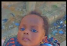 Residents rescue abandoned newborn in Gashua