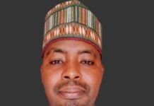 Beyond Business: Dangote, a patriotic Nigerian, by Yusuf Alhaji Lawan