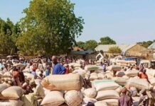 Prices of grains and other food items fall at Dambam Market, Bauchi