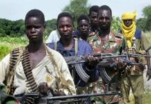 Inside story of Northwest bandits exodus to Kwara forests Inside story of Northwest bandits exodus to Kwara forests