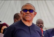 2027: Labour party rules out automatic presidential ticket for Peter Obi 2027: Labour party rules out automatic presidential ticket for Peter Obi