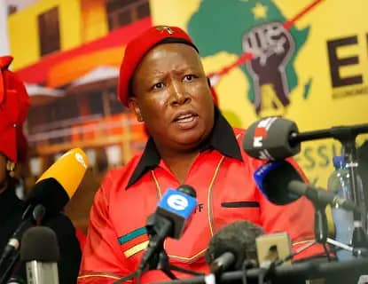 Malema Mocks U.S. Visa Ban Threat: ‘I’ll enter Africa, eat Nigerian jollof’ Malema Mocks U.S. Visa Ban Threat: ‘I’ll enter Africa, eat Nigerian jollof’